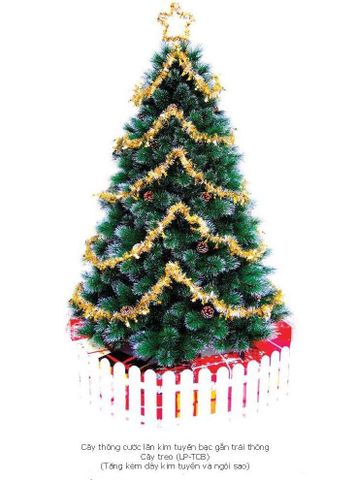 CÂY THÔNG CƯỚC BẠC LĂN KIM TUYẾT CÓ GẮN TRÁI THÔNG