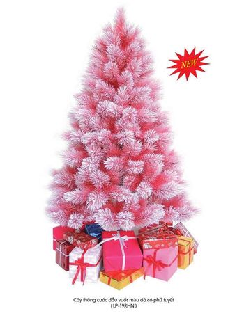 CÂY THÔNG CƯỚC ĐỎ PHỦ TUYẾT