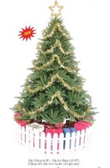 CÂY THÔNG PE XANH GIỐNG THẬT 98%