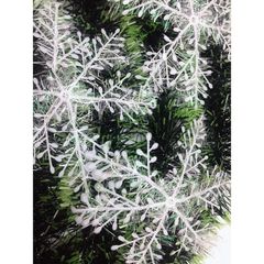 Hoa Tuyết Giáng Sinh