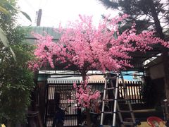 CÂY HOA ĐÀO GIẢ ĐỦ SIZE