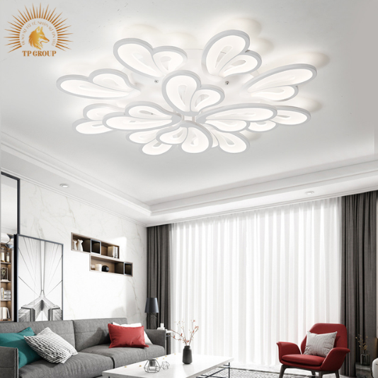 ĐÈN ỐP TRẦN TRANG TRÍ VIRGO L257 VRG-MO980