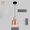 ĐÈN THẢ CHAU HIỆN ĐẠI TỐI GIẢN AL-P048M (đặt hàng từ 10- 15 ngày)