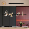 ĐÈN THẢ TRANG TRÍ PHONG CÁCH HIỆN ĐẠI TL-H8092L/VRG-3116