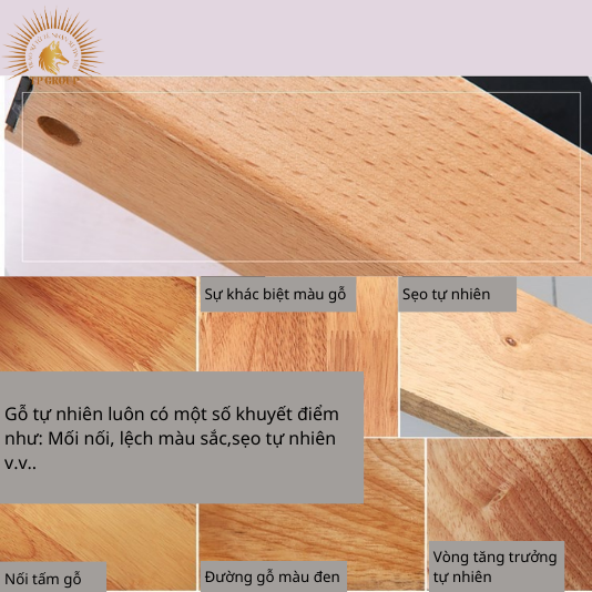 ĐÈN TƯỜNG HIỆN ĐẠI ĐIỀU CHỈNH GỐC LINH HOẠT TP-DV501 (đặt hàng từ 10-15 ngày)