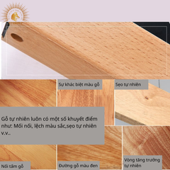 ĐÈN TƯỜNG HIỆN ĐẠI ĐIỀU CHỈNH GỐC LINH HOẠT TP-DV501 (đặt hàng từ 10-15 ngày)