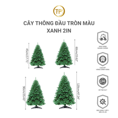 CÂY THÔNG ĐẦU TRÒN MÀU XANH 2IN
