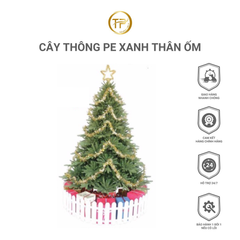 CÂY THÔNG PE XANH GIỐNG THẬT 98%