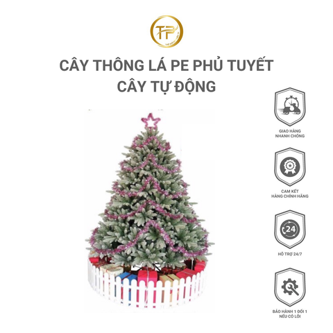 CÂY THÔNG LÁ PE PHỦ TUYẾT - CÂY TỰ ĐỘNG