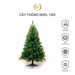 CÂY THÔNG NOEL 1M2