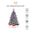 CÂY THÔNG PE PHỦ TUYẾT