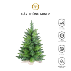 Cây Thông Mini 2