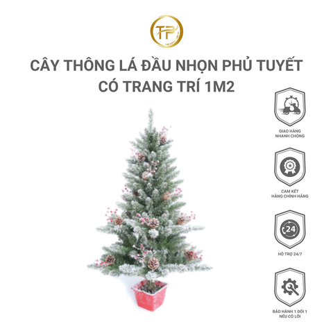 CÂY THÔNG LÁ ĐẦU NHỌN PHỦ TUYẾT CÓ TRANG TRÍ 1M2