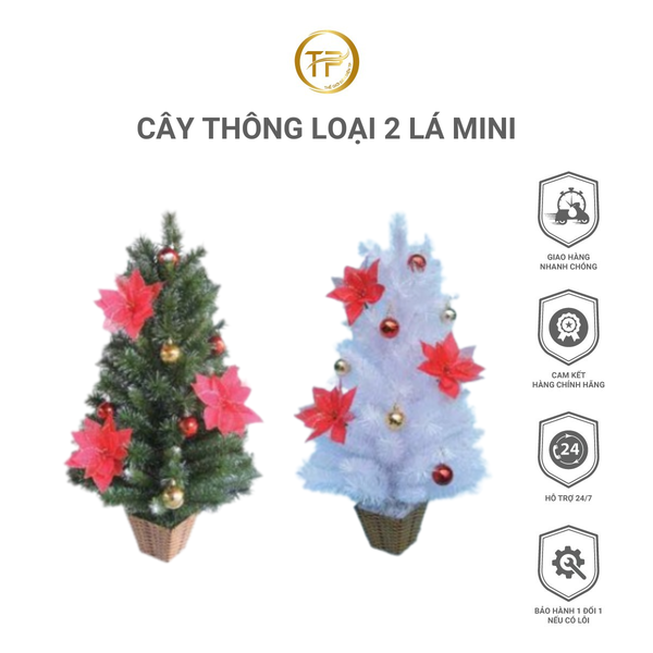 CÂY THÔNG LOẠI 2 LÁ MINI