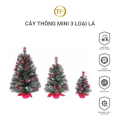 CÂY THÔNG MINI 3 LOẠI LÁ