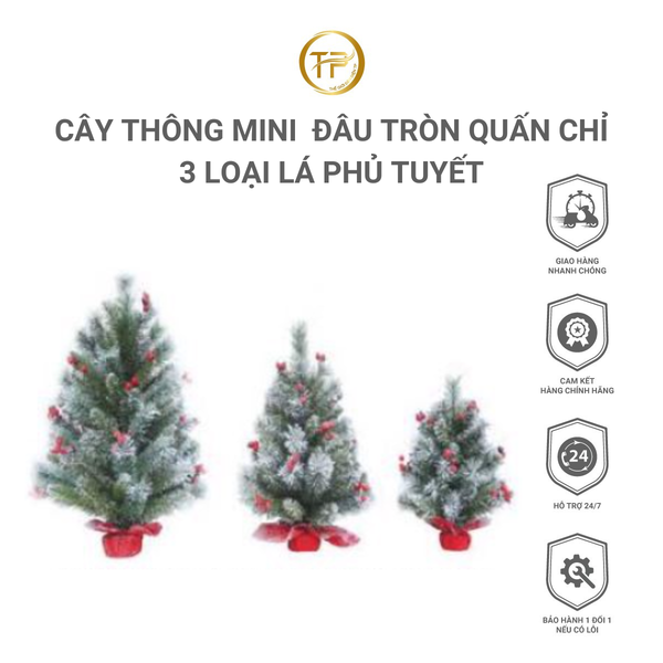 CÂY THÔNG MINI  ĐÂU TRÒN QUẤN CHỈ 3 LOẠI LÁ PHỦ TUYẾT