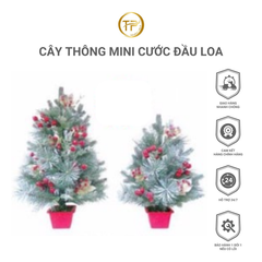 CÂY THÔNG MINI CƯỚC ĐẦU LOA