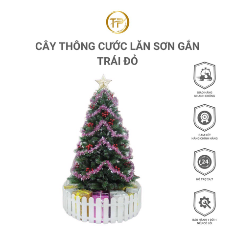 CÂY THÔNG CƯỚC LĂN SƠN GẮN TRÁI ĐỎ