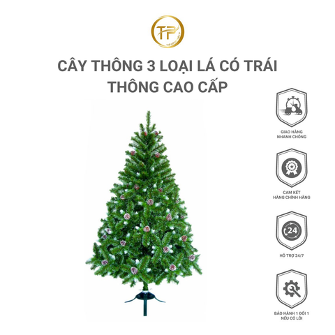 CÂY THÔNG 3 LOẠI LÁ CÓ TRÁI THÔNG CAO CẤP - LÁ DÀY - THÂN CÂY CHẮC CHẮN - CHƠI ĐƯỢC 5 MÙA NOEL