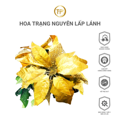 Hoa Trạng Nguyên Lấp Lánh