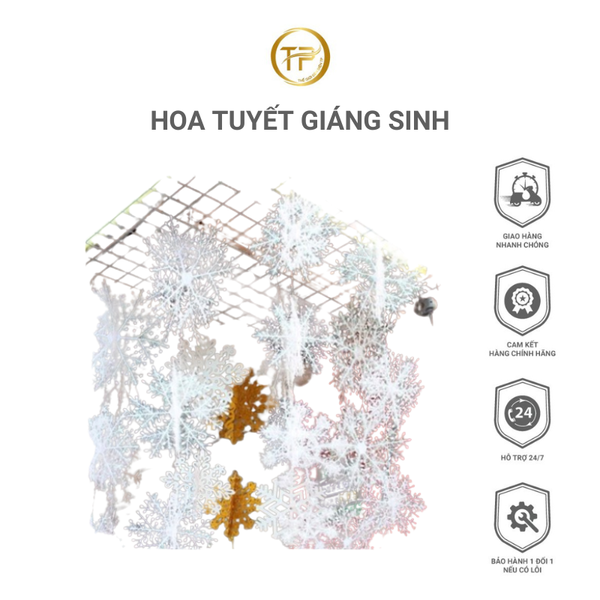 Hoa Tuyết Giáng Sinh