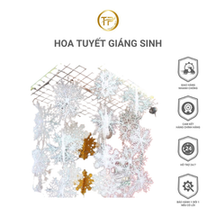 Hoa Tuyết Giáng Sinh