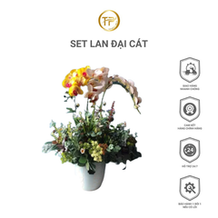 Set Lan Đại Cát