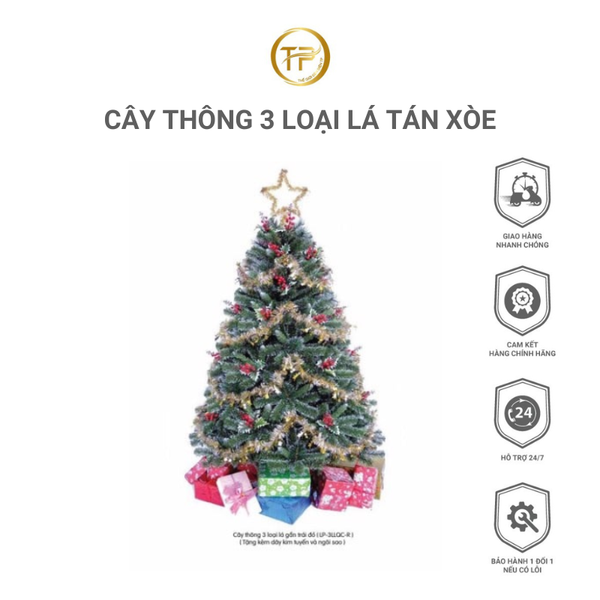 CÂY THÔNG 3 LOẠI LÁ TÁN XÒE CÓ GẮN TRÁI ĐỎ