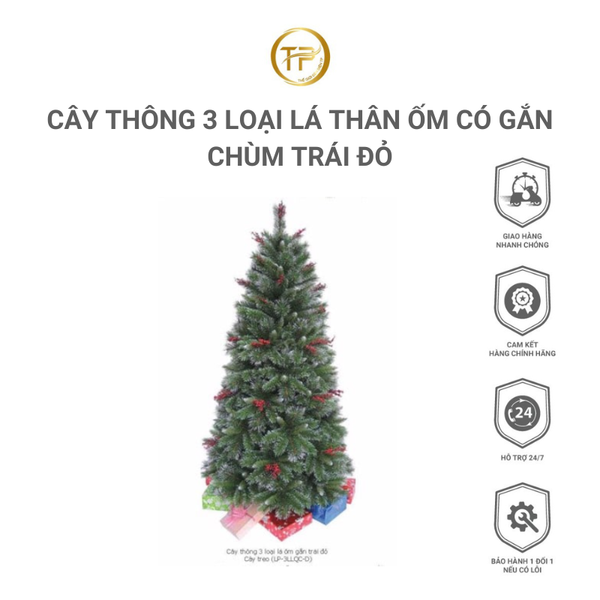 CÂY THÔNG 3 LOẠI LÁ THÂN ỐM CÓ GẮN CHÙM TRÁI ĐỎ