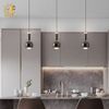 ĐÈN THẢ PHONG CÁCH HIỆN ĐẠI ĐA DI NĂNG NHƯNG TỐI GIẢN TP-DT509 (đặt hàng từ 10- 15 ngày)