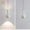 ĐÈN THẢ PHONG CÁCH HIỆN ĐẠI ĐA DI NĂNG NHƯNG TỐI GIẢN TP-DT509 (đặt hàng từ 10- 15 ngày)