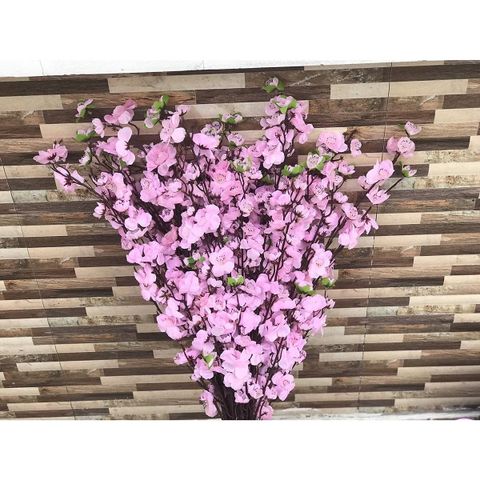 CÀNH ĐÀO HỒNG THÁI TRANG TRÍ TẾT