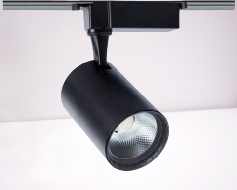 Đèn Rọi Ray 20W TP