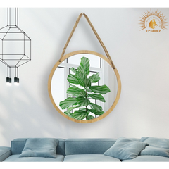 Gương treo tường viền gỗ decor phòng với móc treo dây thừng xinh xắn - Đủ size TP-GL006