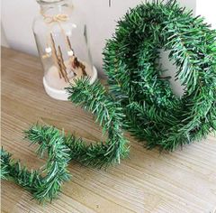 DÂY THÔNG CUỐN KẼM