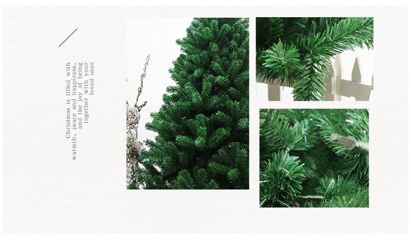 CÂY THÔNG ĐẦU TRÒN MÀU XANH 2IN