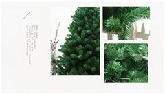 CÂY THÔNG ĐẦU TRÒN MÀU XANH 2IN