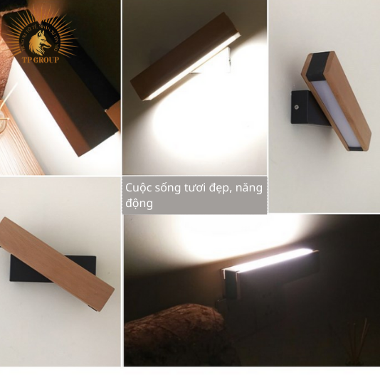 ĐÈN TƯỜNG HIỆN ĐẠI ĐIỀU CHỈNH GỐC LINH HOẠT TP-DV501 (đặt hàng từ 10-15 ngày)