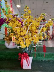 CÀNH HOA MAI THÁI GIẢ TRANG TRÍ TẾT