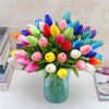 HOA TULIP - CAO SU NON