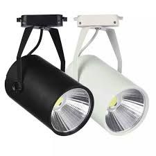 Đèn Rọi Ray 10W TP