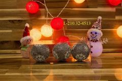 Trái Châu Noel Kim Tuyến