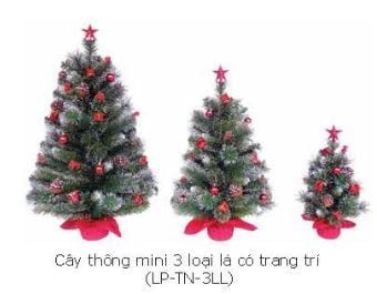 CÂY THÔNG MINI 3 LOẠI LÁ