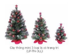 CÂY THÔNG MINI 3 LOẠI LÁ