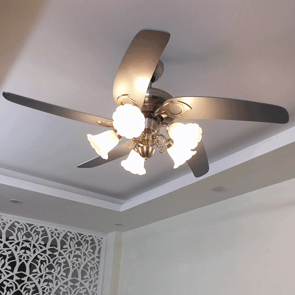 Quạt trần Moutain Air KF-FF2