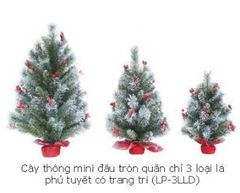 CÂY THÔNG MINI  ĐÂU TRÒN QUẤN CHỈ 3 LOẠI LÁ PHỦ TUYẾT