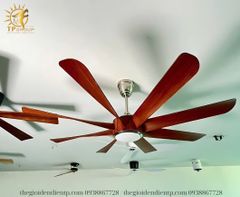 QUẠT TRẦN FERGUS 888 (LẮP ĐẶT MIỄN PHÍ)