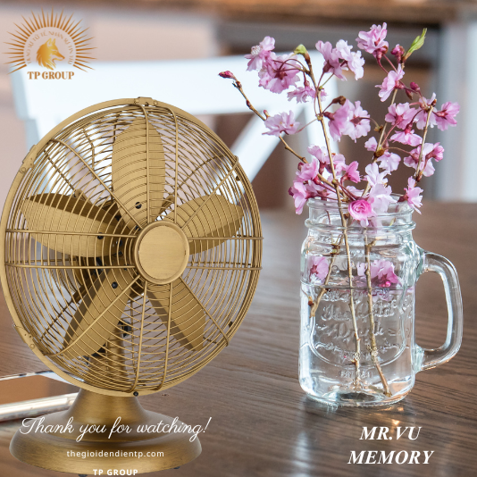 QUẠT BÀN MEMORY