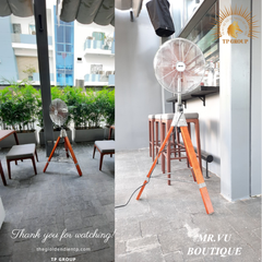 QUẠT CÂY BOUTIQUE