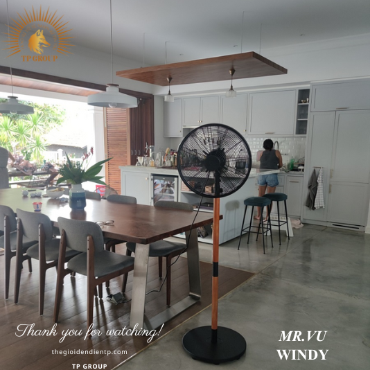 QUẠT CÂY WINDY